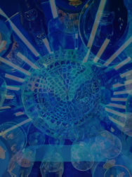 cap_001723.jpg