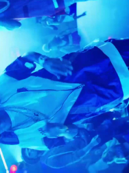 cap_001739.jpg