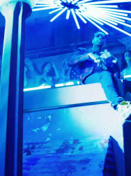 cap_001930.jpg