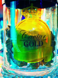 cap_002204.jpg