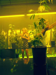 cap_002770.jpg