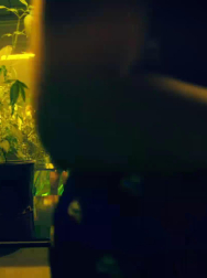 cap_002773.jpg