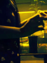 cap_002774.jpg