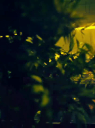 cap_002776.jpg