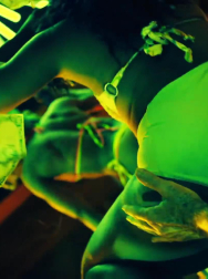 cap_002960.jpg