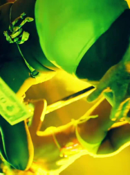 cap_002967.jpg