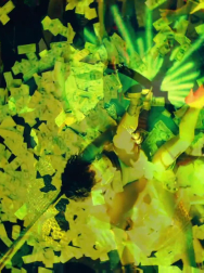 cap_003018.jpg