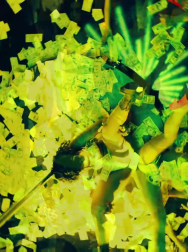 cap_003019.jpg
