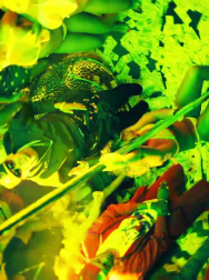 cap_003058.jpg