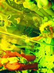 cap_003060.jpg