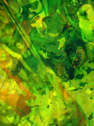 cap_003063.jpg