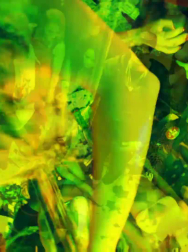 cap_003066.jpg