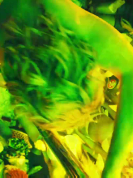 cap_003067.jpg
