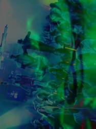 cap_003162.jpg