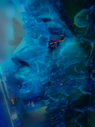cap_003167.jpg