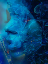 cap_003169.jpg
