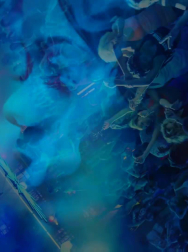 cap_003173.jpg