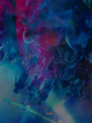 cap_003176.jpg