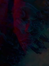 cap_003185.jpg
