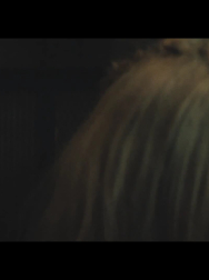 cap_000211.jpg