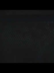 cap_000231.jpg
