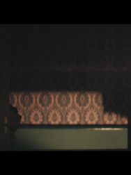 cap_000237.jpg