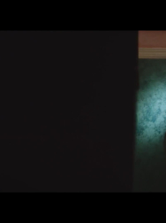 cap_000310.jpg