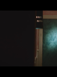 cap_000313.jpg