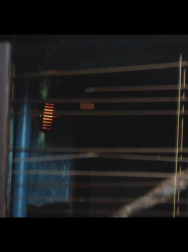 cap_000513.jpg