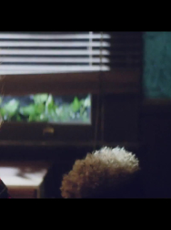 cap_000967.jpg