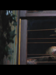 cap_001042.jpg