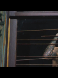 cap_001044.jpg
