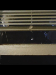 cap_001327.jpg