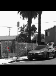 cap_000026.jpg