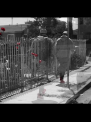 cap_000073.jpg