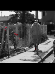 cap_000075.jpg