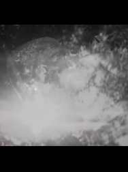 cap_000089.jpg