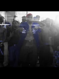 cap_000238.jpg