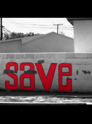 cap_000294.jpg