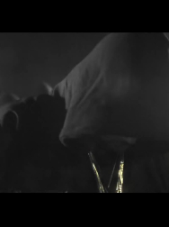 cap_000366.jpg