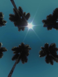 cap_000000.jpg