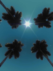 cap_000002.jpg
