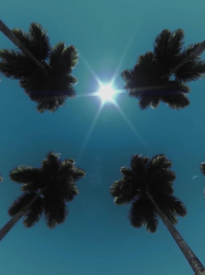 cap_000003.jpg