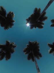 cap_000005.jpg