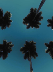 cap_000006.jpg