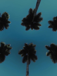 cap_000007.jpg