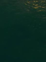 cap_000077.jpg