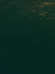 cap_000078.jpg