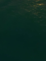 cap_000079.jpg