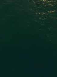 cap_000080.jpg
